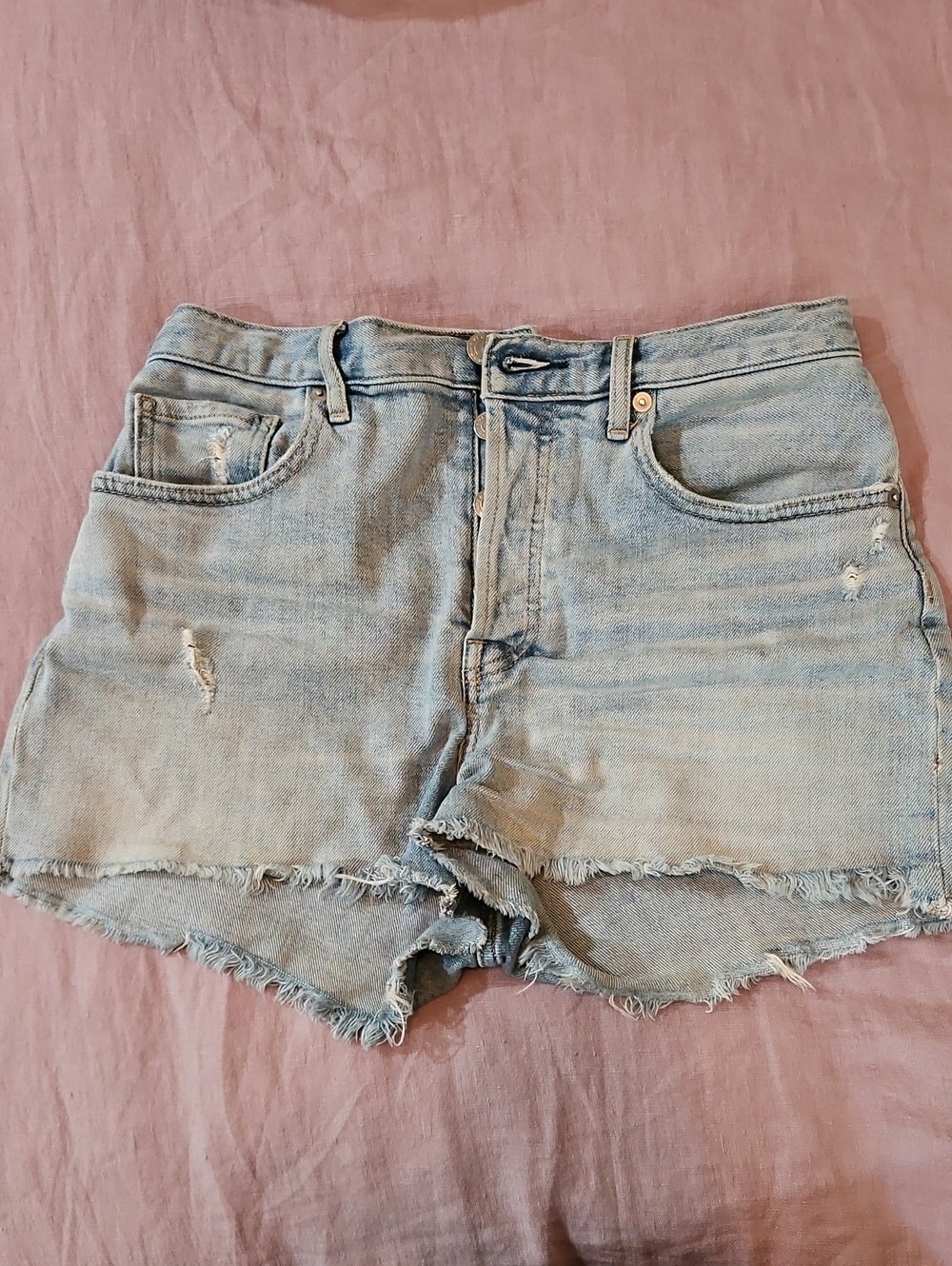 Everlane The Cheeky Short Sz 26